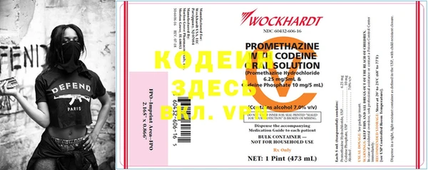 индика Коряжма