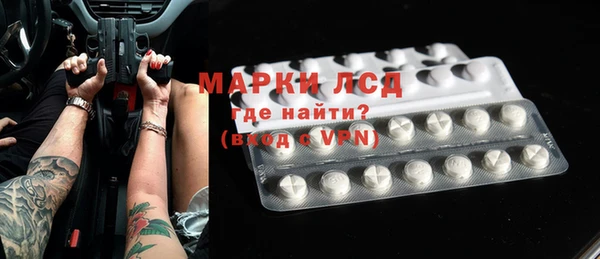 индика Коряжма