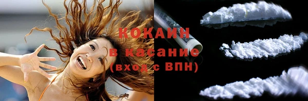 индика Коряжма