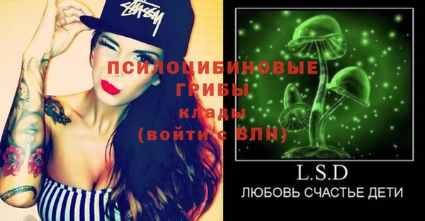 прущий лед Корсаков